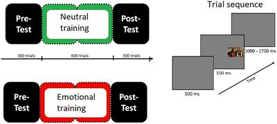 Sustained training with novel distractors attenuates the behavioral interference of emotional pictures but does not affect the electrocortical markers of emotional processing